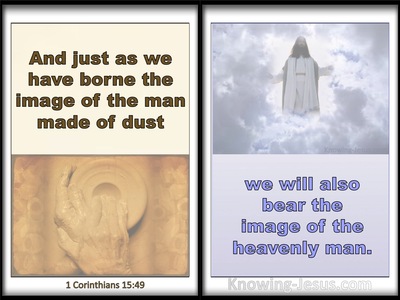 1 Corinthians 15:49 We Bear The Image Of The Heavenly Man (white)